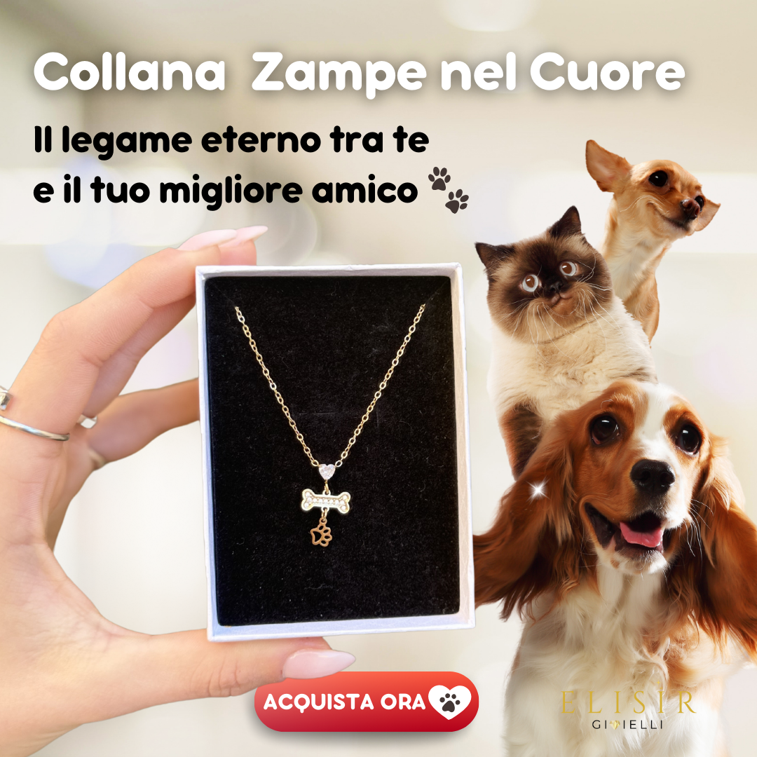 Collana "Zampe nel Cuore" 🐾 💖